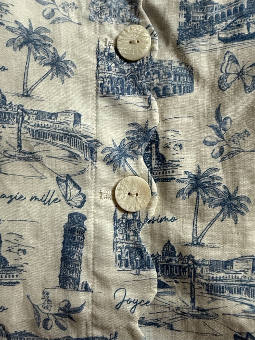 Button-Front Cream and Blue Toile Midi Skirt with Belt - Picture 4 of 5